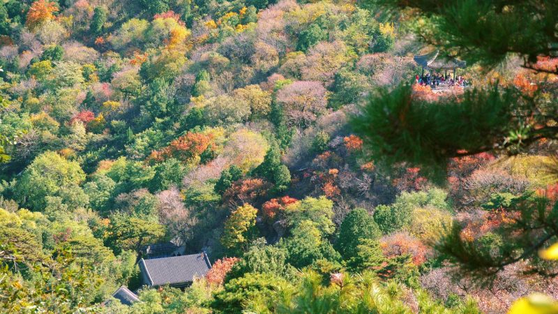 动漫在线免费观看全集本期精选:几组值得先看的整理