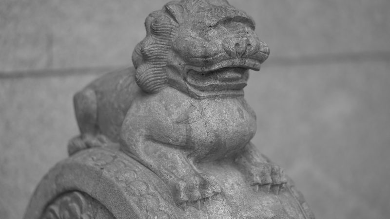 动漫在线免费观看全集 / 六个真正会天天用到的功能